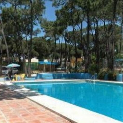 Buganvilla Andalusien - Marbella visuel 4/6