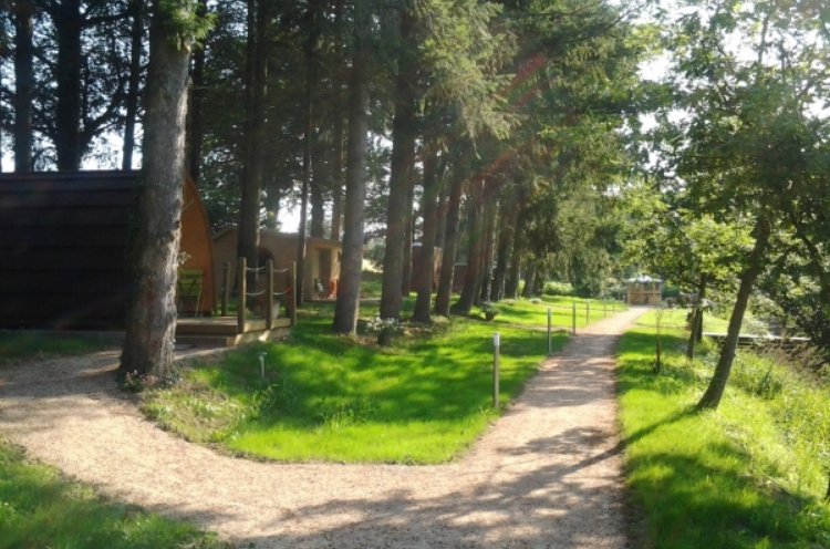Cabanes de la Petite Sapinière Auvergne - Voussac visuel 4/7 Cabanes de la Petite Sapinière Auvergne - Voussac visuel 4/7