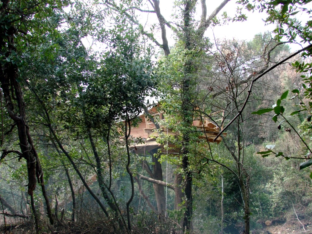 Cabânes du Varon Provence-Alpes-Côte d'Azur - Flayosc visuel 11/11