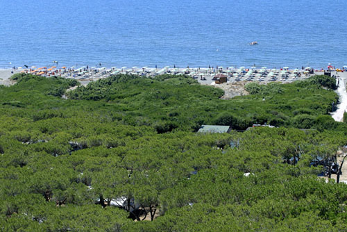 California Village Toskana - Montalto di Castro
 visuel 4/5