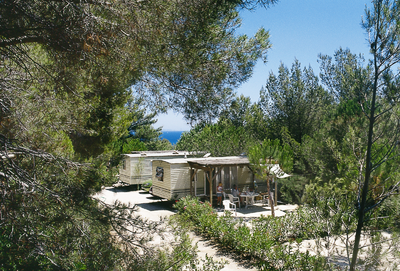 Camp du Domaine Provence-Alpes-Côte d'Azur - Bormes-les-Mimosas visuel 2/8 Camp du Domaine Provence-Alpes-Côte d'Azur - Bormes-les-Mimosas visuel 2/8