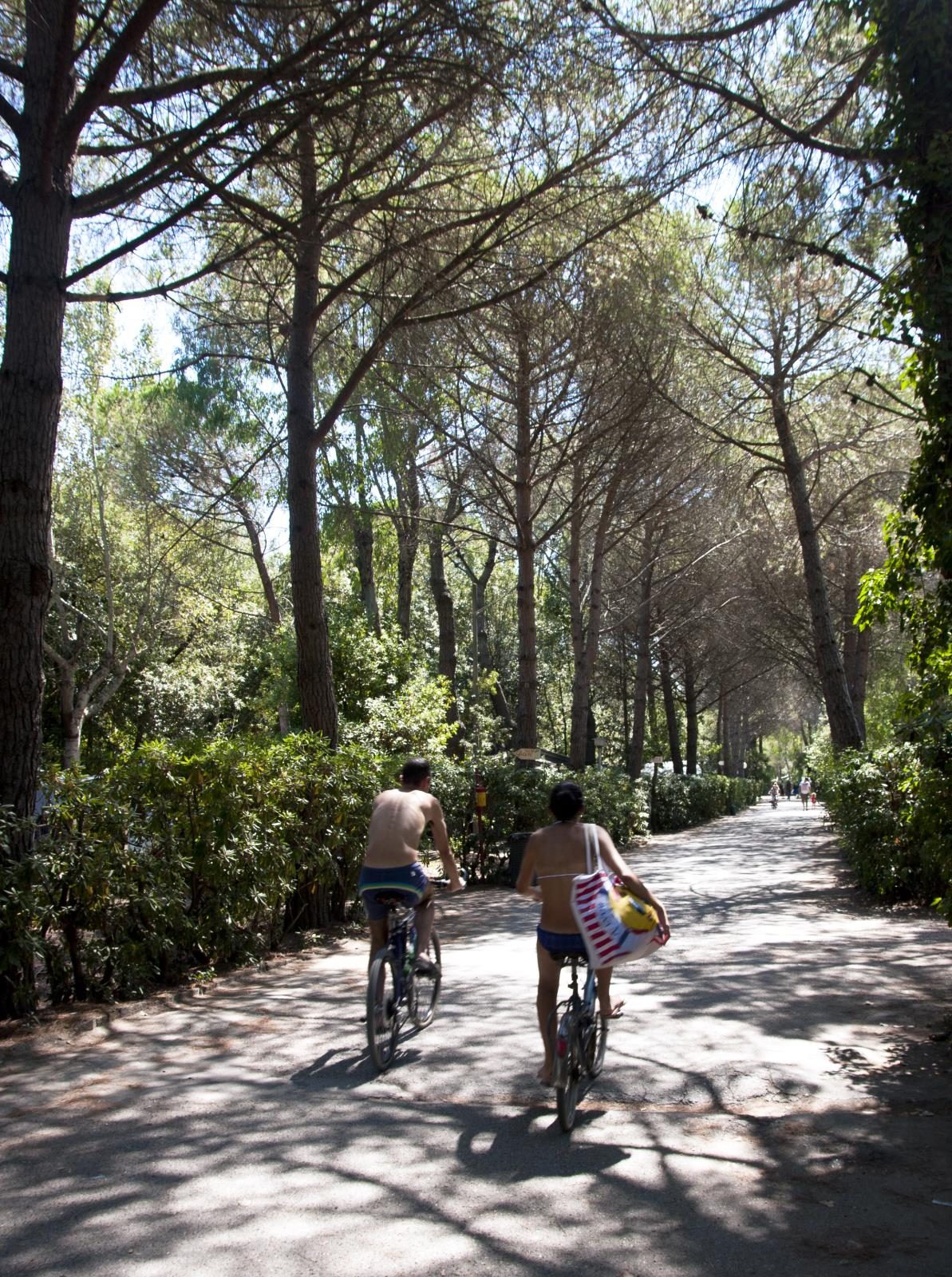 Campo dei Fiori Toskana - Vada visuel 2/10