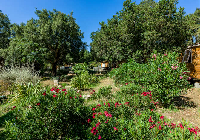 Campo di Mare Korsika - Porto-Vecchio visuel 8/11