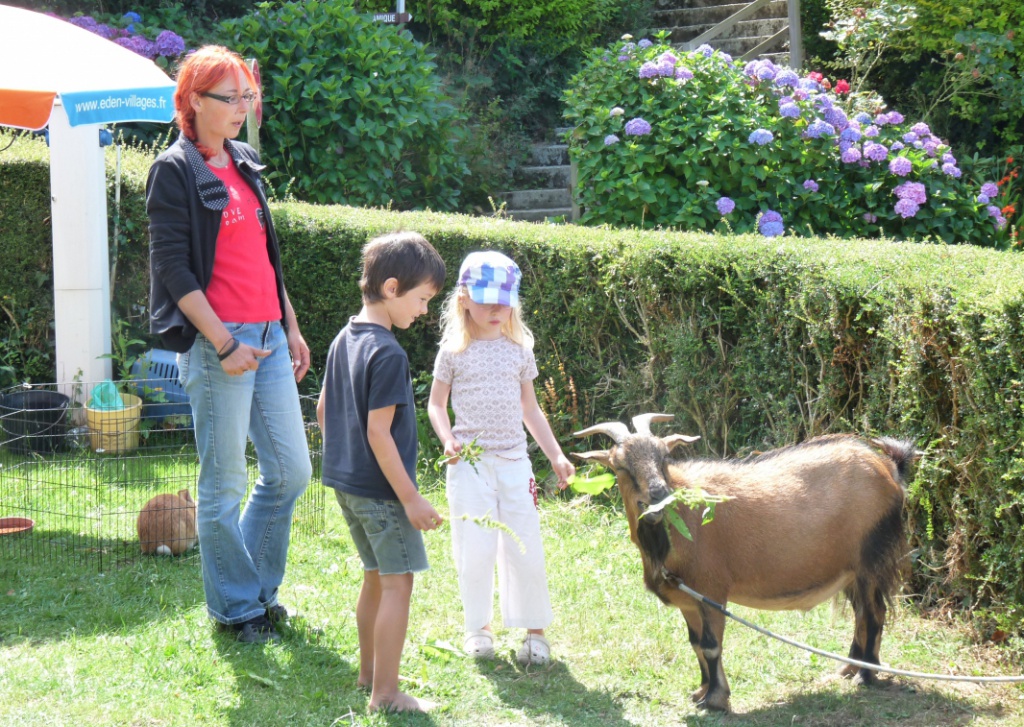 Cap de Bréhat Bretagne - Plouézec visuel 9/11