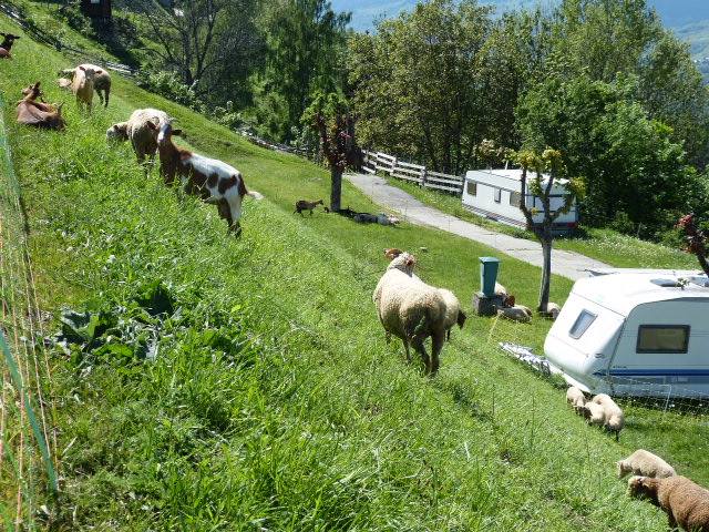Caravaneige de Montchavin Rhône-Alpen - Montchavin les Coches visuel 5/7