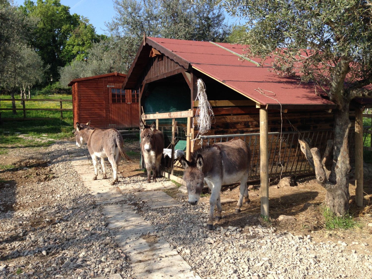 Centro Vacanze San Marino San Marino - San Marino visuel 7/10
