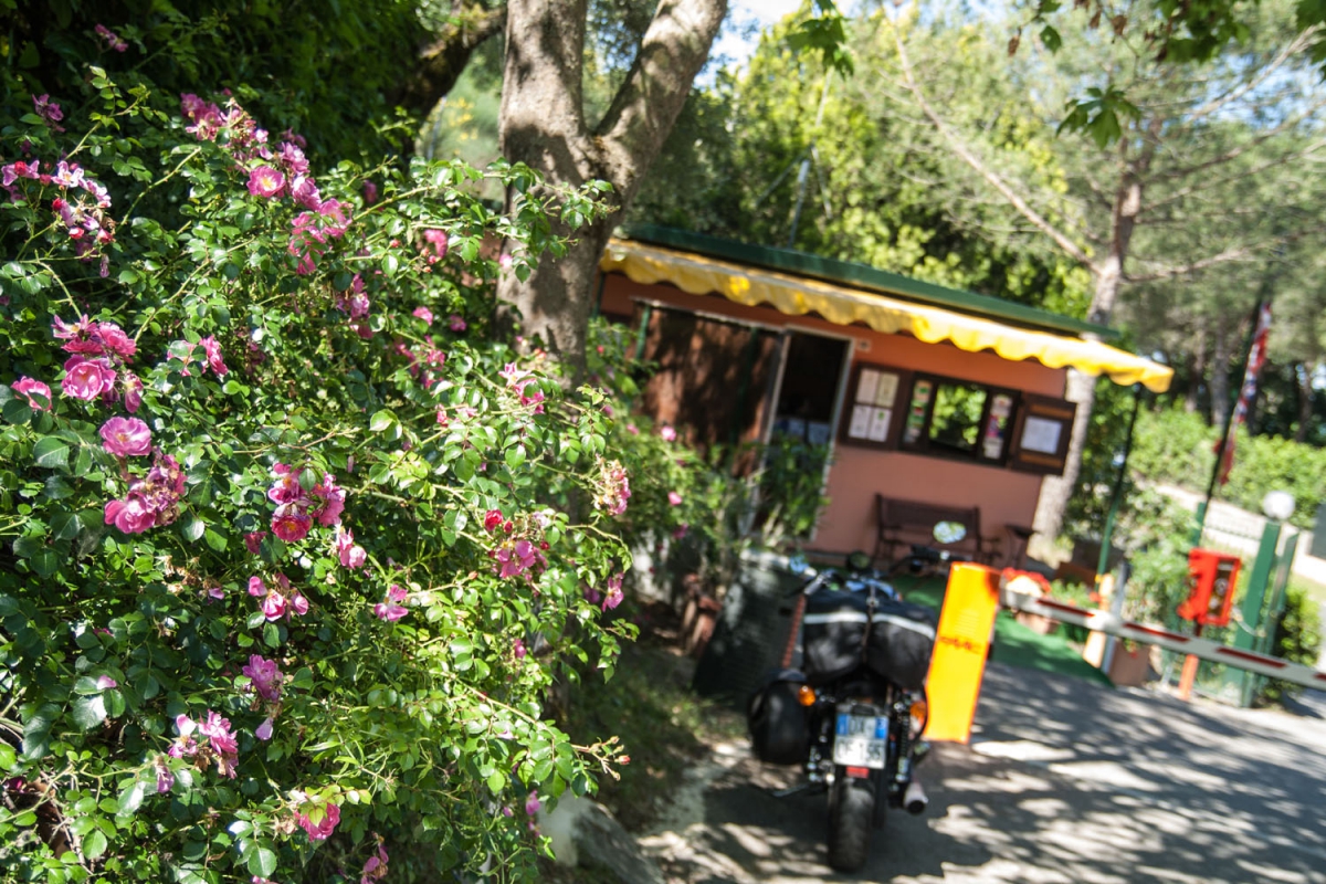 Cerquestra Umbrien - Monte del Lago visuel 6/9