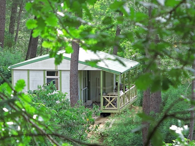 Cevennes Provence Languedoc-Roussillon - Anduze visuel 3/5