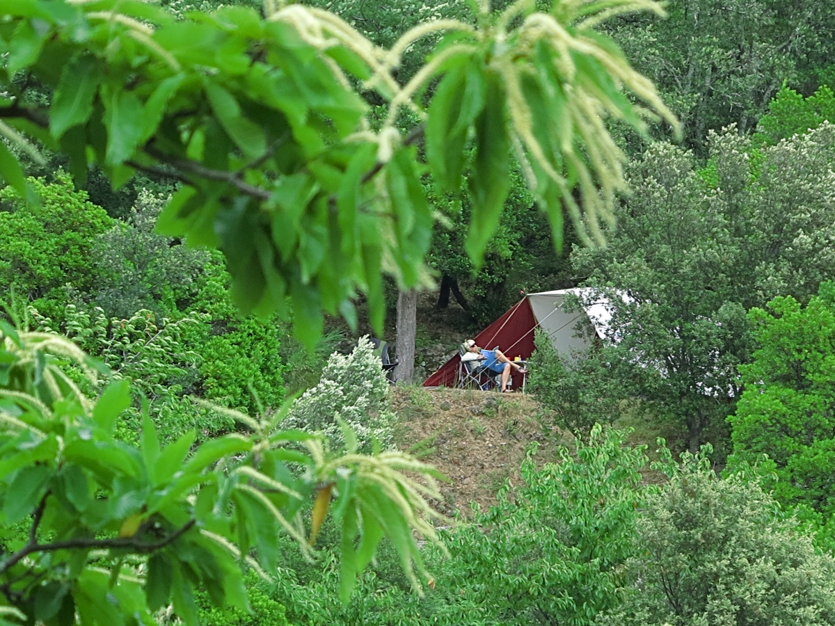 Cevennes Provence Languedoc-Roussillon - Anduze visuel 4/5