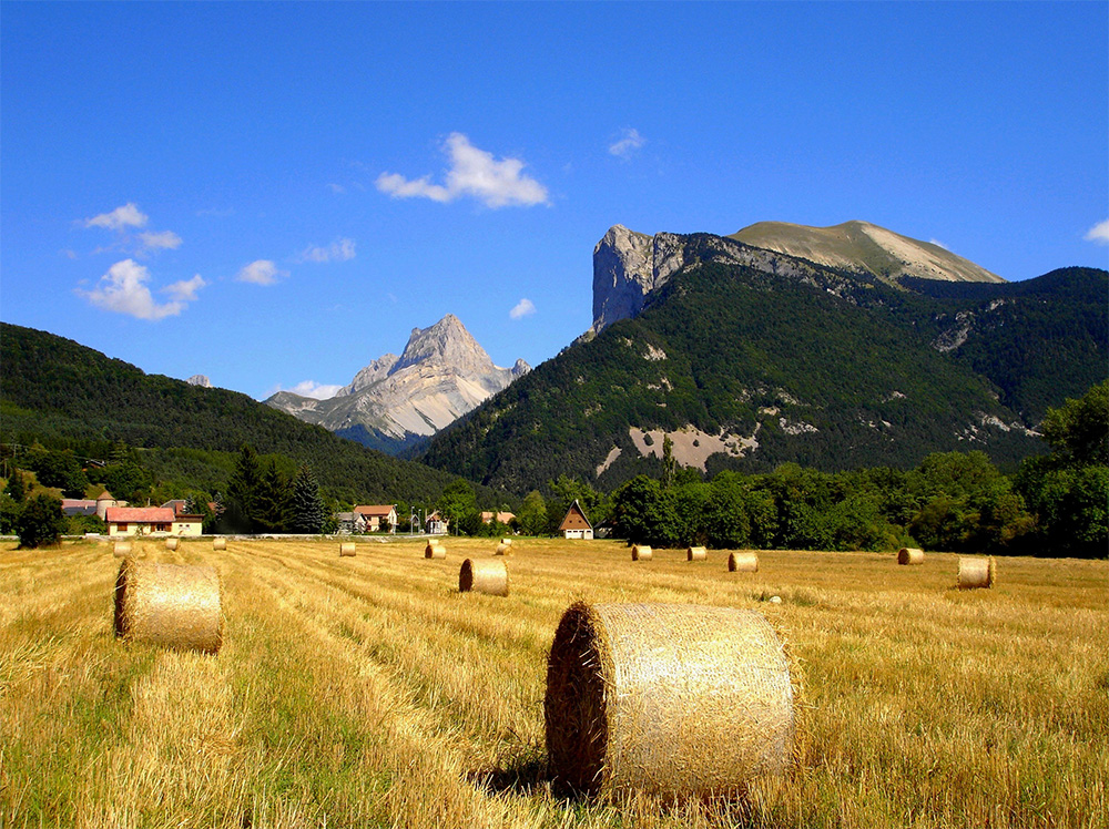Champ la Chèvre Rhône-Alpen - Lus-la-Croix-Haute visuel 11/11 Champ la Chèvre Rhône-Alpen - Lus-la-Croix-Haute visuel 11/11
