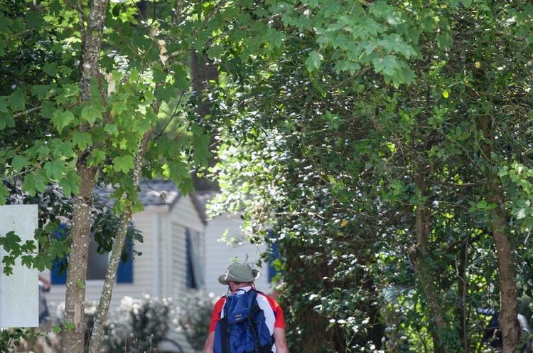 Château de la Forêt Das Loire-Gebiet - Saint-Julien-des-Landes visuel 9/10 Château de la Forêt Das Loire-Gebiet - Saint-Julien-des-Landes visuel 9/10