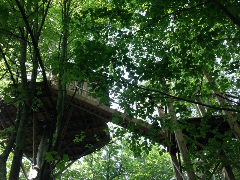 Chateau des Tilleuls Picardie - Port-le-Grand visuel 3/7