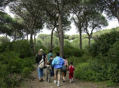 Cieloverde Toskana - Marina di Grosseto visuel 4/11