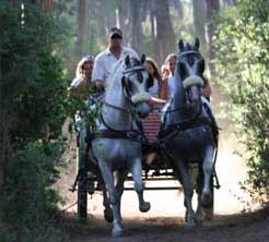Cieloverde Toskana - Marina di Grosseto visuel 10/11