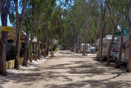 Cigno Bianco Sardinien - Tortolì visuel 4/7