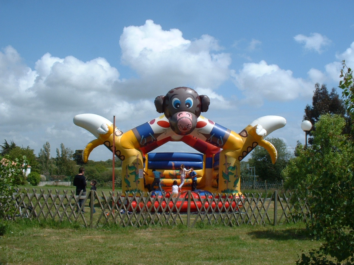 Clos Mer et Nature Das Loire-Gebiet - Saint-Michel-Chef-Chef visuel 2/8 Clos Mer et Nature Das Loire-Gebiet - Saint-Michel-Chef-Chef visuel 2/8