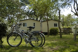 Comanges Languedoc-Roussillon - Argelès-sur-Mer visuel 2/5 Comanges Languedoc-Roussillon - Argelès-sur-Mer visuel 2/5