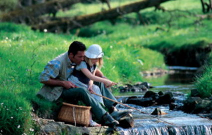 Cottages du Puy d'Agnoux Limousin - Meyrignac-l'Église visuel 6/9