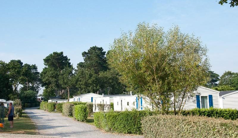 d'Arvor Bretagne - Ambon visuel 7/10