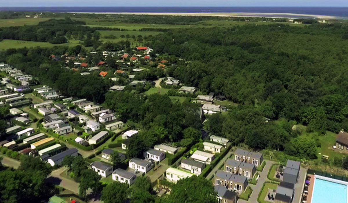 de Brem Zeeland - Renesse visuel 1/2 de Brem Zeeland - Renesse visuel 1/2
