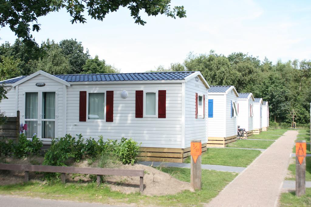 de Brem Zeeland - Renesse visuel 2/2 de Brem Zeeland - Renesse visuel 2/2