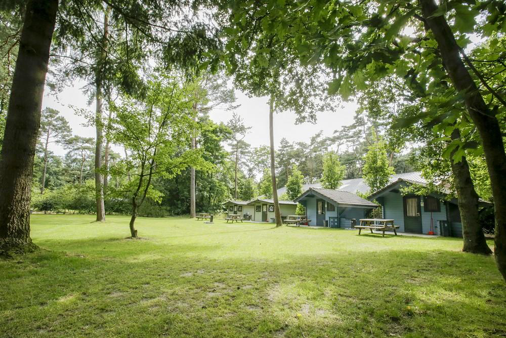 de Paal Nord-Brabant - Bergeijk visuel 5/6
