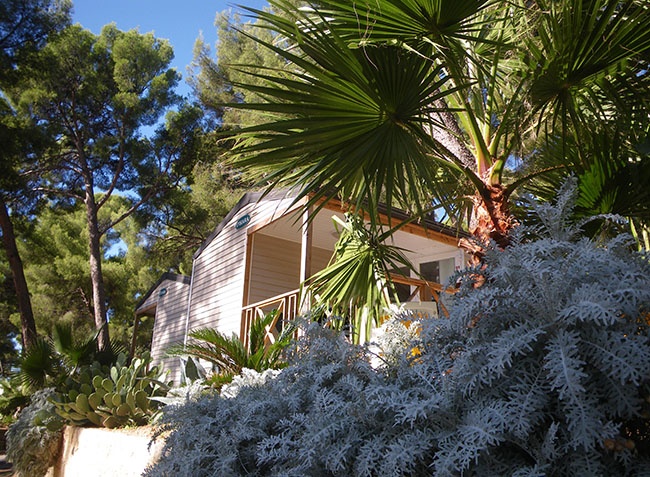 de Ceyreste Provence-Alpes-Côte d'Azur - Ceyreste visuel 2/7