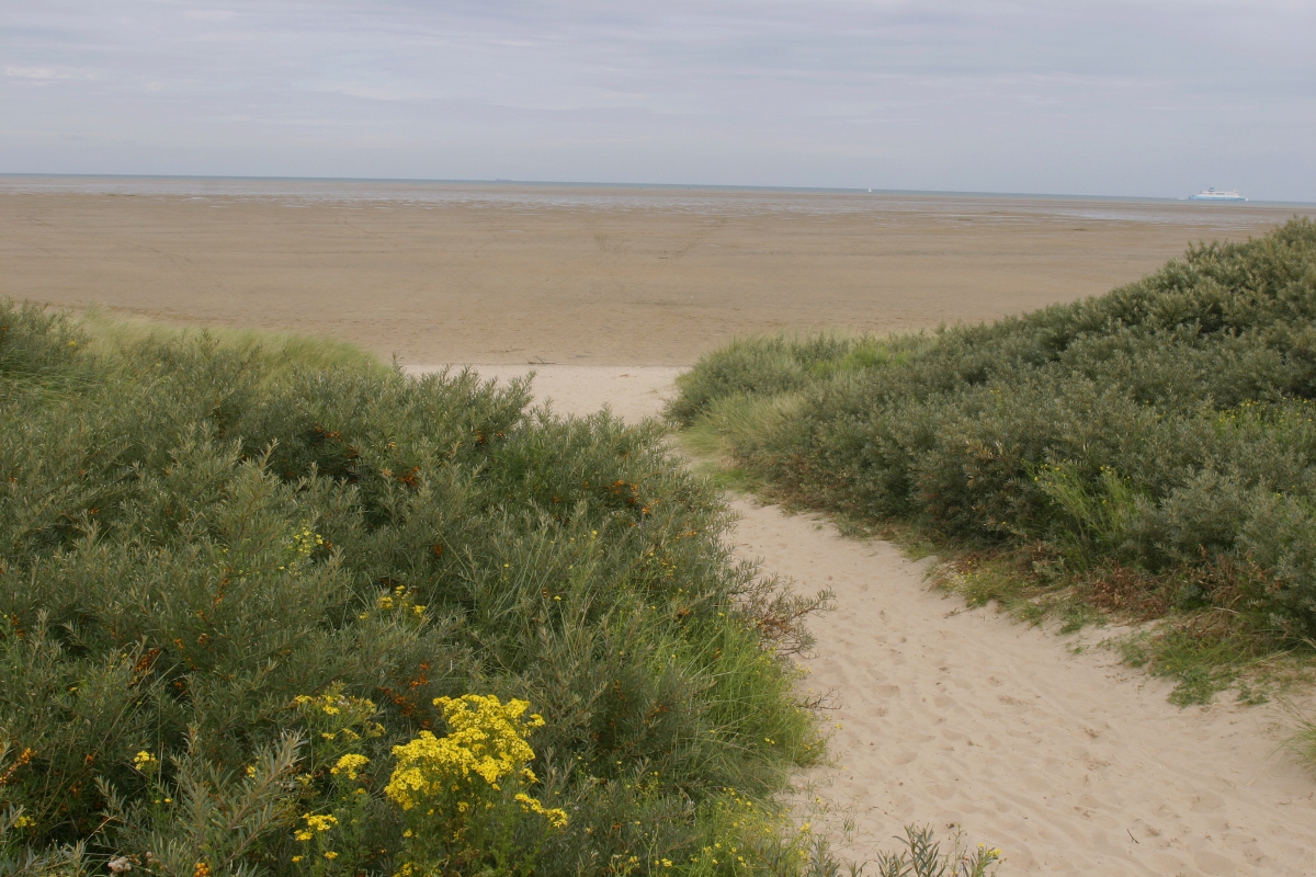 La Plage Nord-Pas de Calais - Marck visuel 2/10 La Plage Nord-Pas de Calais - Marck visuel 2/10