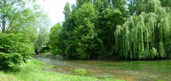 Camping de la Tête Noire Großes Zentrum - Buzançais visuel 2/3 Camping de la Tête Noire Großes Zentrum - Buzançais visuel 2/3