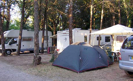 Camping de la Vallée de Taradeau Provence-Alpes-Côte d'Azur - Taradeau visuel 3/9