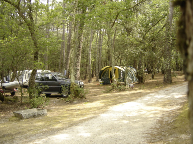 Camping de l'Ermitage Aquitanien - Lacanau visuel 1/1 Camping de l'Ermitage Aquitanien - Lacanau visuel 1/1