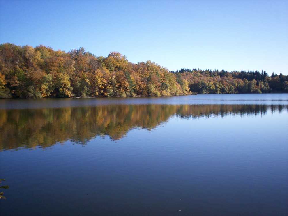 Camping de l'étang Limousin - Meyrignac-l'Église visuel 3/5 Camping de l'étang Limousin - Meyrignac-l'Église visuel 3/5