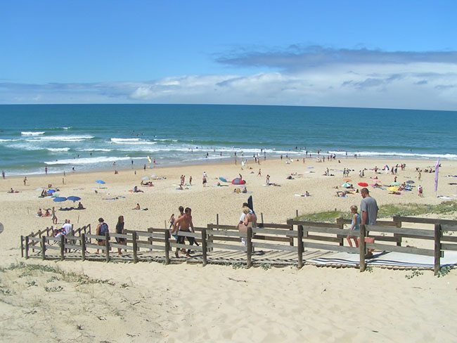 Camping de Moïsan Aquitanien - Messanges visuel 3/8 Camping de Moïsan Aquitanien - Messanges visuel 3/8