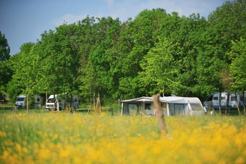 Camping de Tournus Burgunder - Tournus visuel 2/8 Camping de Tournus Burgunder - Tournus visuel 2/8