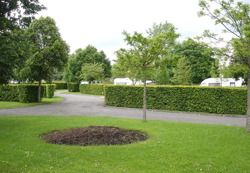 Camping de Vittel Lothringen - Vittel visuel 2/10 Camping de Vittel Lothringen - Vittel visuel 2/10