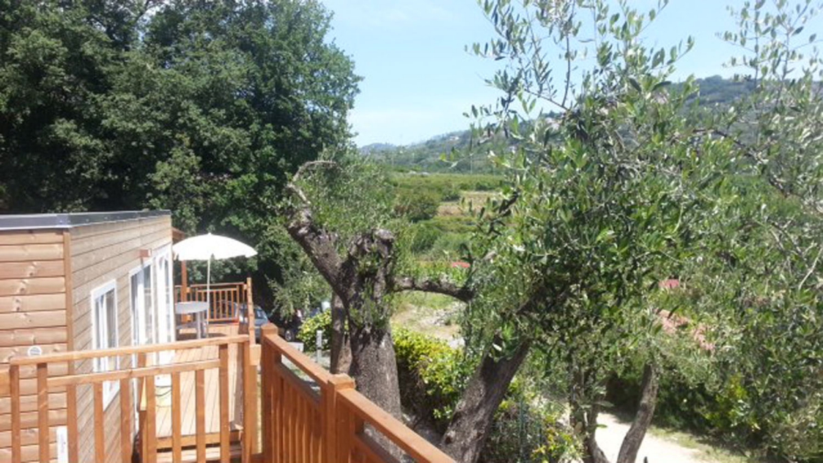 dei Fiori Ligurien - Pietra Ligure visuel 5/11 dei Fiori Ligurien - Pietra Ligure visuel 5/11