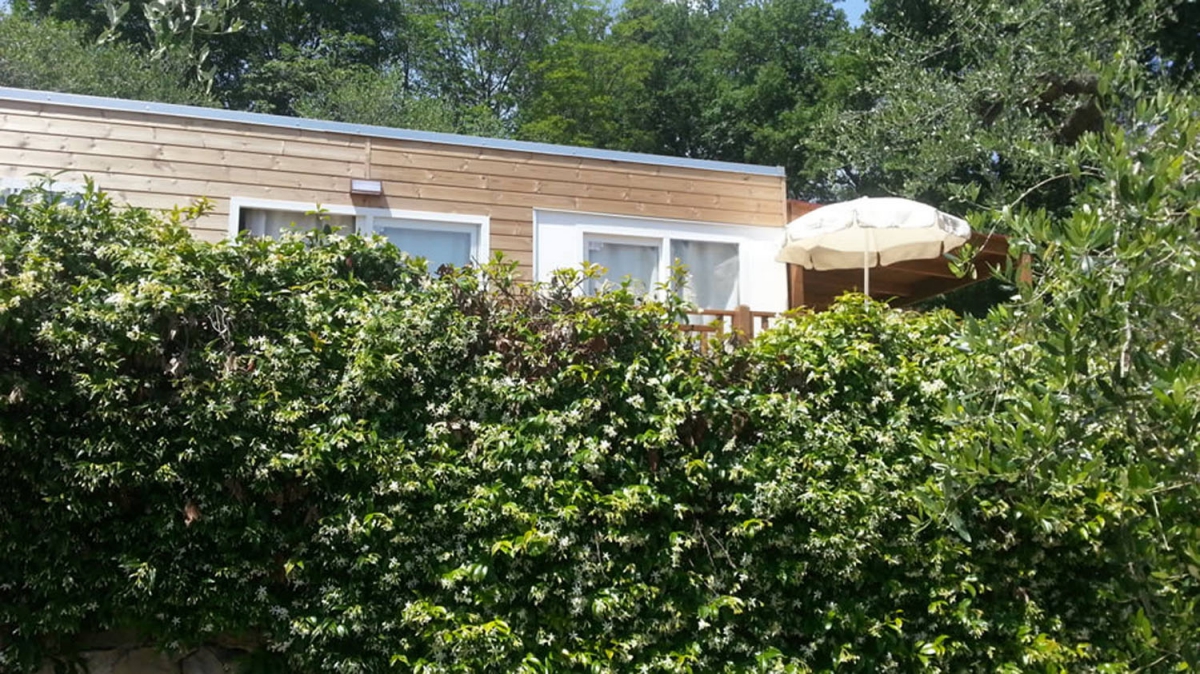 dei Fiori Ligurien - Pietra Ligure visuel 6/11 dei Fiori Ligurien - Pietra Ligure visuel 6/11