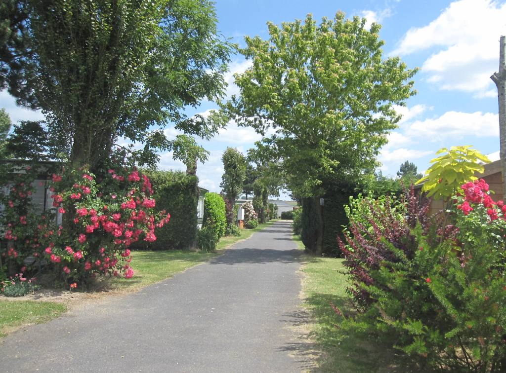 Camping des 4 Plages Nord-Pas de Calais - Conchil-le-Temple visuel 1/1 Camping des 4 Plages Nord-Pas de Calais - Conchil-le-Temple visuel 1/1