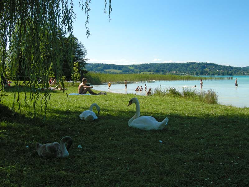 des Chavannes Rhône-Alpen - Novalaise visuel 2/6