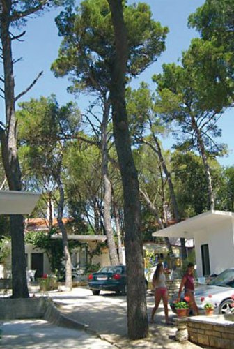 Diana & Josip Dalmatien - Biograd visuel 2/4