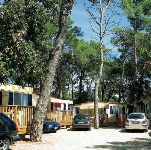 Diana & Josip Dalmatien - Biograd visuel 3/4