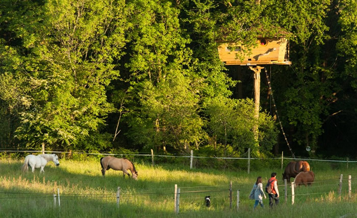 Dihan Bretagne - Ploemel visuel 6/10 Dihan Bretagne - Ploemel visuel 6/10