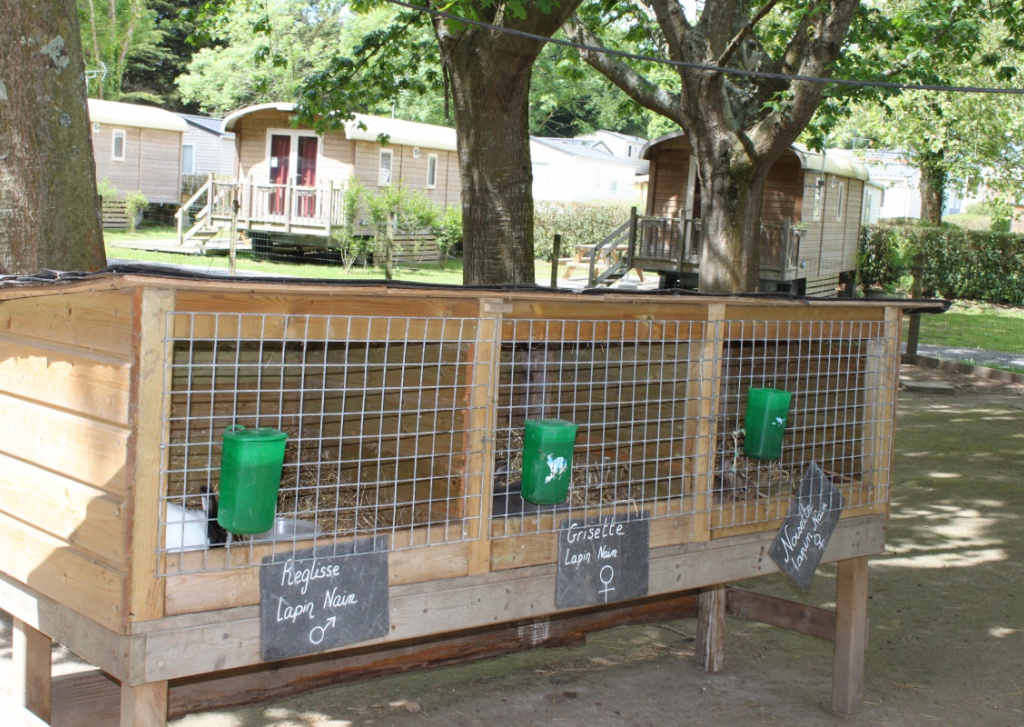 Domaine de Bréhadour Das Loire-Gebiet - Guérande visuel 7/10
