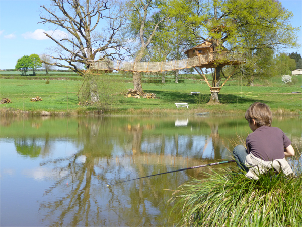 Domaine de Chaligny Burgunder - Saint-André-en-Morvan visuel 3/10 Domaine de Chaligny Burgunder - Saint-André-en-Morvan visuel 3/10