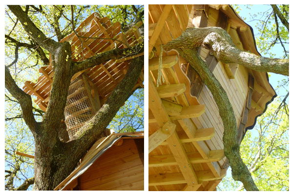 Domaine de Chaligny Burgunder - Saint-André-en-Morvan visuel 5/10 Domaine de Chaligny Burgunder - Saint-André-en-Morvan visuel 5/10