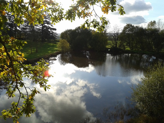 Domaine de Chaligny Burgunder - Saint-André-en-Morvan visuel 8/10 Domaine de Chaligny Burgunder - Saint-André-en-Morvan visuel 8/10