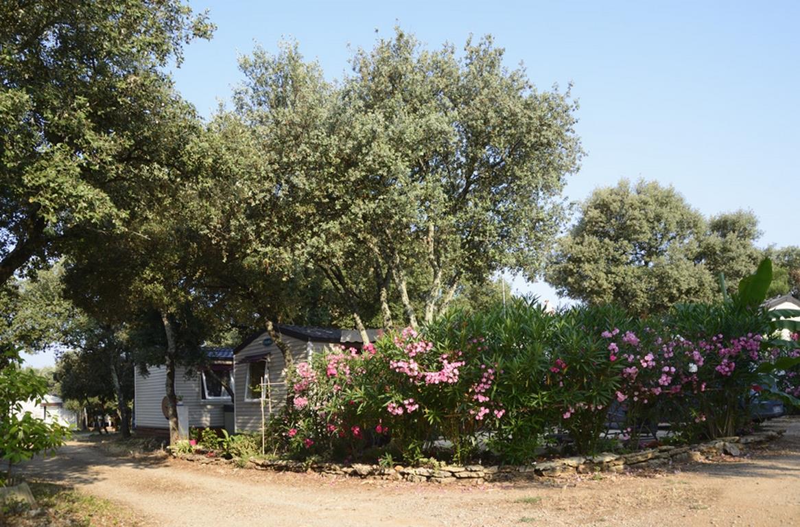 Domaine de Gajan Languedoc-Roussillon - Boisseron visuel 2/10 Domaine de Gajan Languedoc-Roussillon - Boisseron visuel 2/10