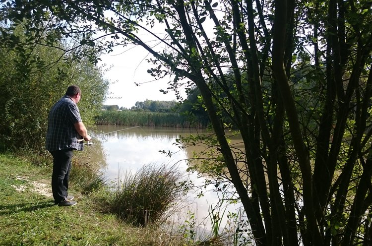 Domaine de la Grangée Großes Zentrum - La Chapelle-Blanche-Saint-Martin visuel 11/14 Domaine de la Grangée Großes Zentrum - La Chapelle-Blanche-Saint-Martin visuel 11/14