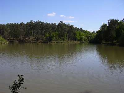 Domaine de l'Etang de Bazange Aquitanien - Monfaucon visuel 6/10 Domaine de l'Etang de Bazange Aquitanien - Monfaucon visuel 6/10