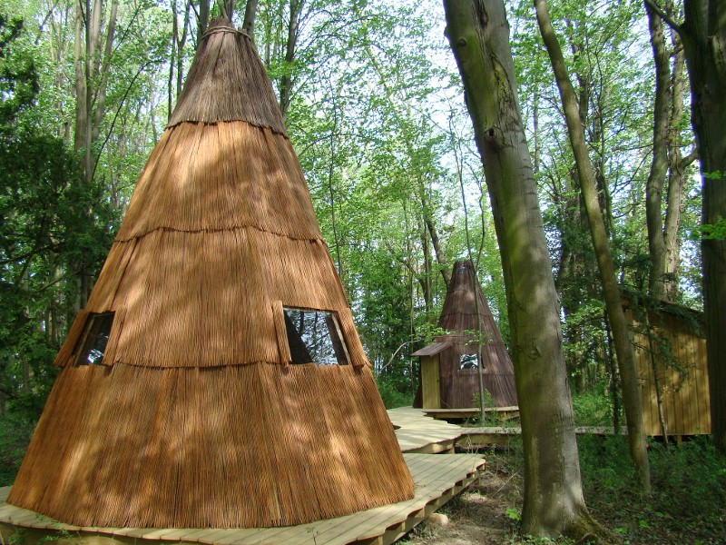 Domaine de Poiseuil Burgunder - Viré visuel 1/7 Domaine de Poiseuil Burgunder - Viré visuel 1/7